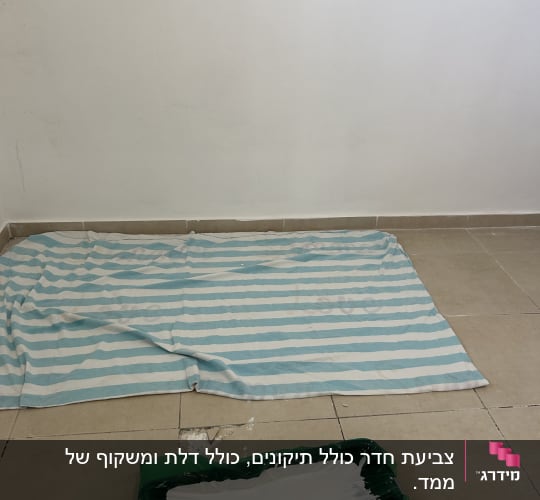 קיר צבוע עם רולר ומגש צבע